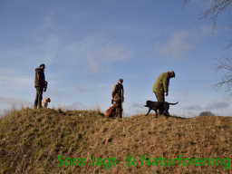 Hundetræning forår 2016